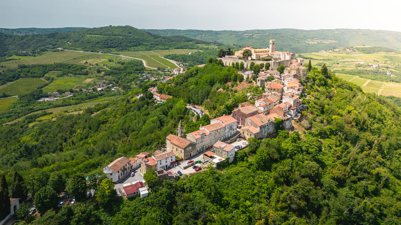 A view of Motovun with thick forests and hills all around it