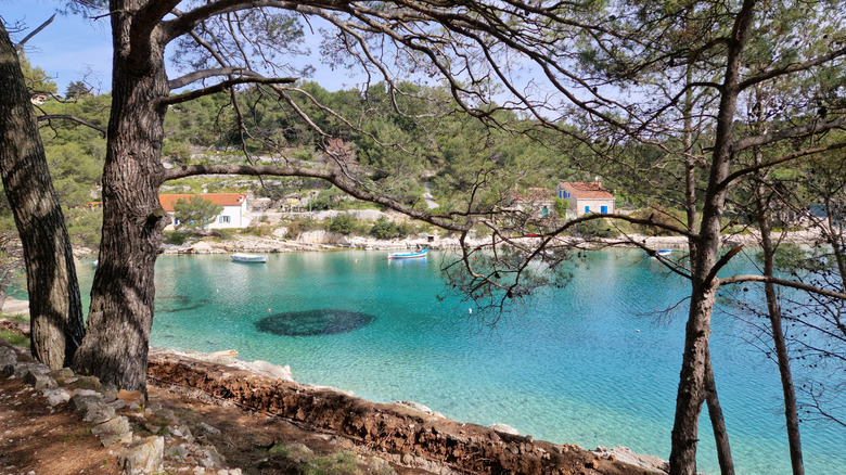 Turquoise water along the coast of Lošinj, Croatia