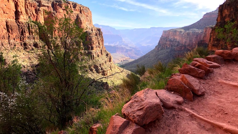 Steep steps on the Bright Angel Trail in Grand Canyon, Arizona