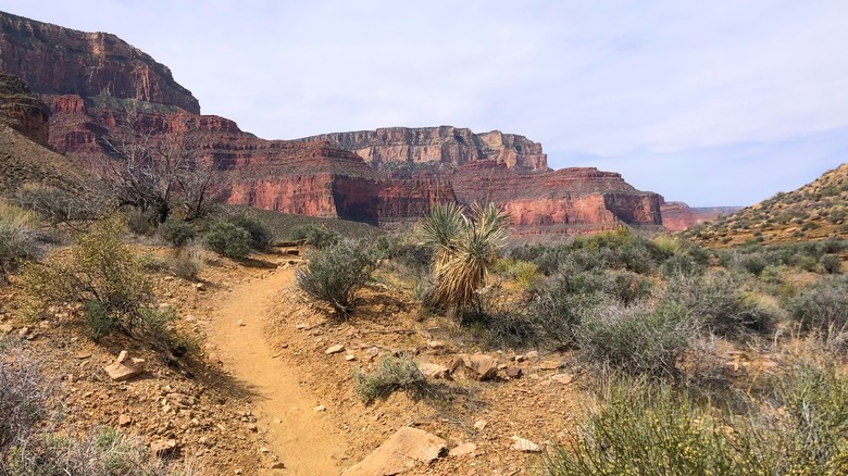 The Tonto Trail between South Kaibab and Bright Angel Trails