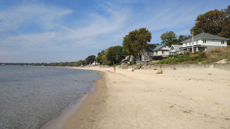 Trees and cottages along a sandy beach in Crystal Beach, Canada