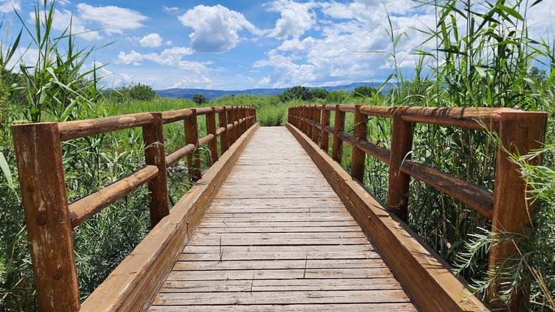 Wooden bridge crossing into green landscape with mountains in the back Becker Lake Wildlife Area