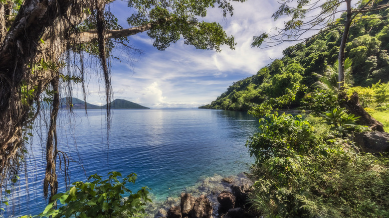 The tropical island of Papa New Guinea next to crystal clear water