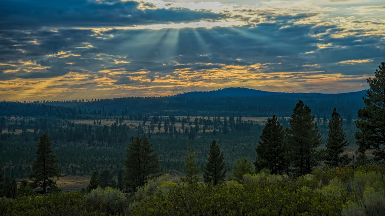 Sunset view of Ochoco National Forest near Culver, Oregon