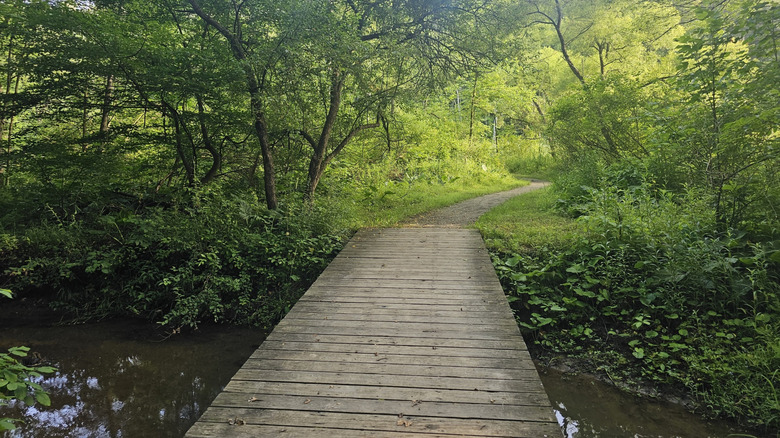 A wooden boardwalk crossing wetlands on a trail around Kendall Lake in Cuyahoga Valley National Park in Ohio