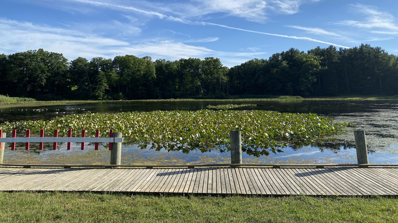 The historic fishing pier along the water on Kendall Lake in Cuyahoga Valley National Park in Ohio
