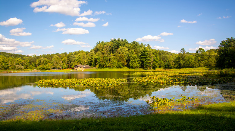 Man-made Kendall Lake with its historic Kendall Lake Shelter and lush trees in Cuyahoga Valley National Park in Ohio