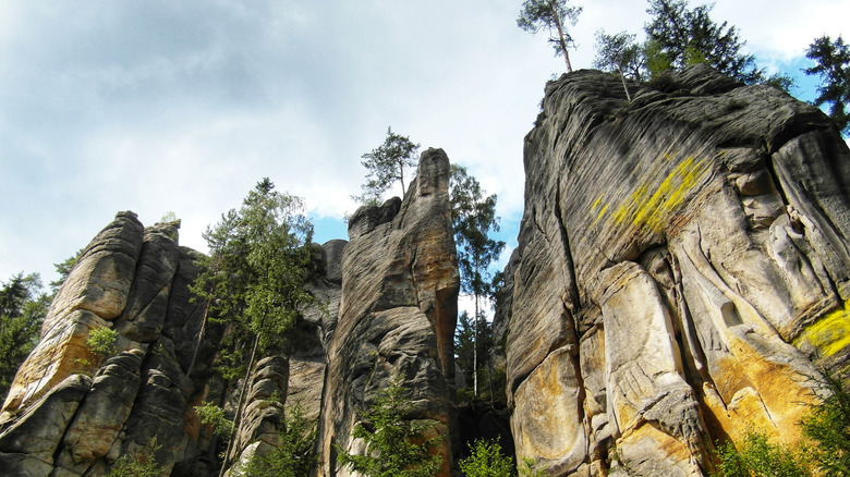 Rock formations towering into the sky with trees on top