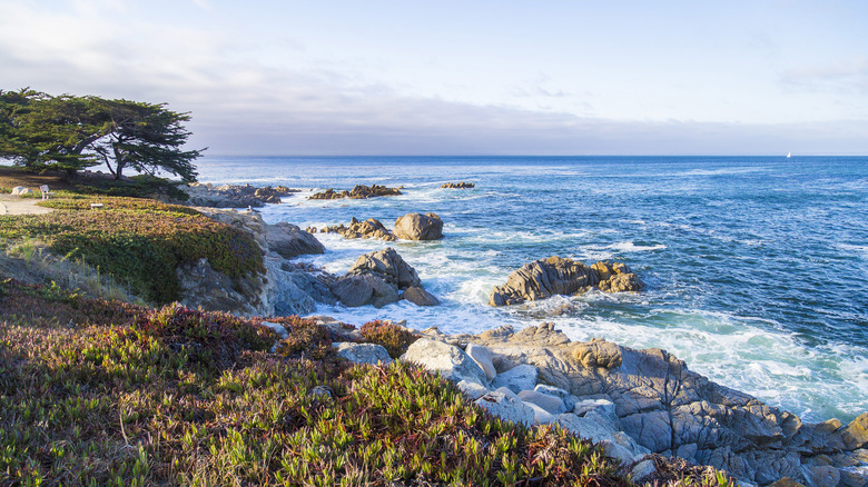 A seascape on the rocky Northern California coast near the town of Monterey
