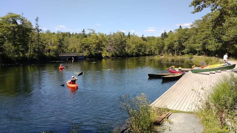 Kayakers rowing on Shubenacadie Canal on a sunny day