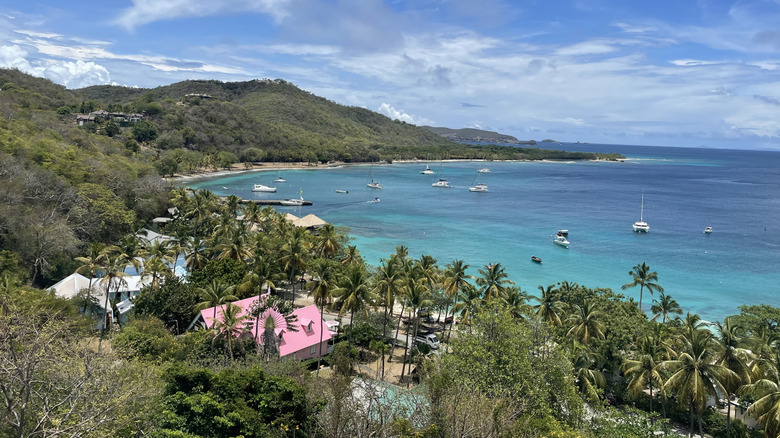 Luxury villas surrounded by palm trees overlooking the blue ocean, sailboats, and beaches on Mustique.