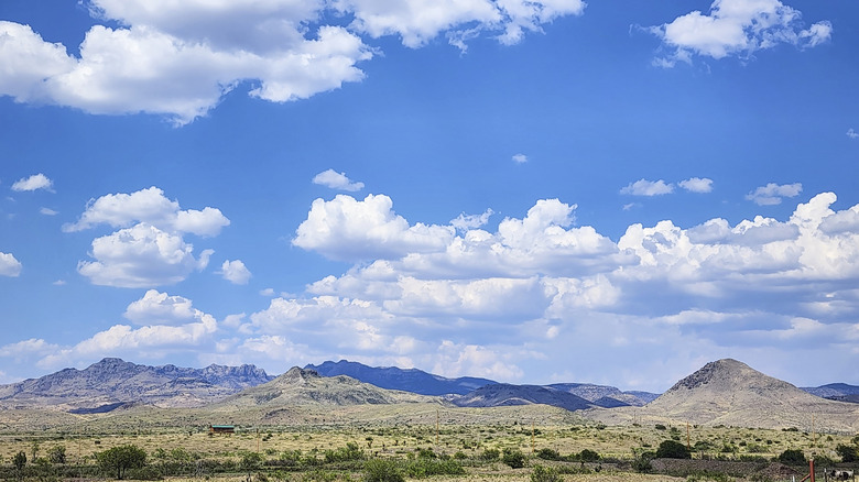 The peaks of the Davis Mountains above rolling plains