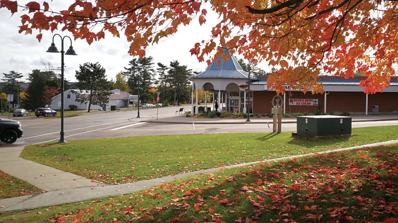 The autumn leaves on trees and on the ground near buildings and a barren street on a cloudy day in Deep River, Ontario