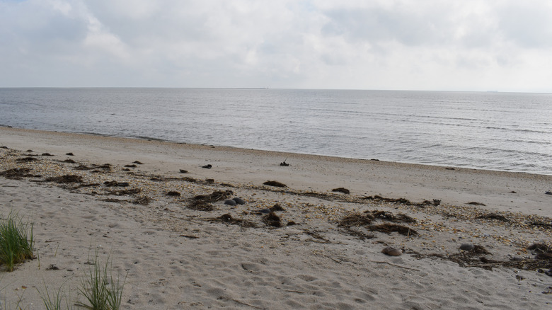Early morning in Slaughter Beach, Delaware