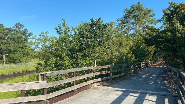 The Junction and Breakwater Trail on a sunny day