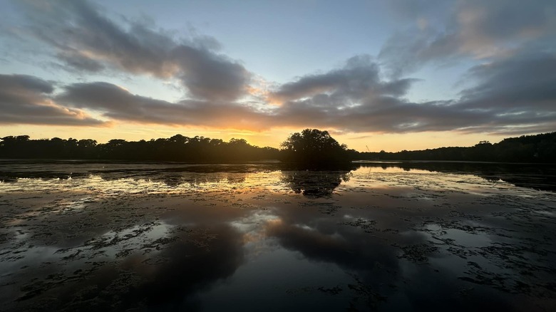 Sunset at Millsboro Pond in Millsboro, Delaware