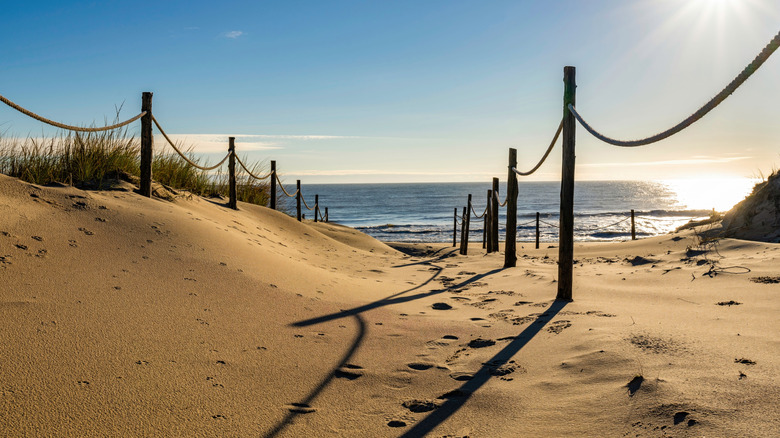 Roped pathways on the golden sands of Beach Plum Island, Delaware