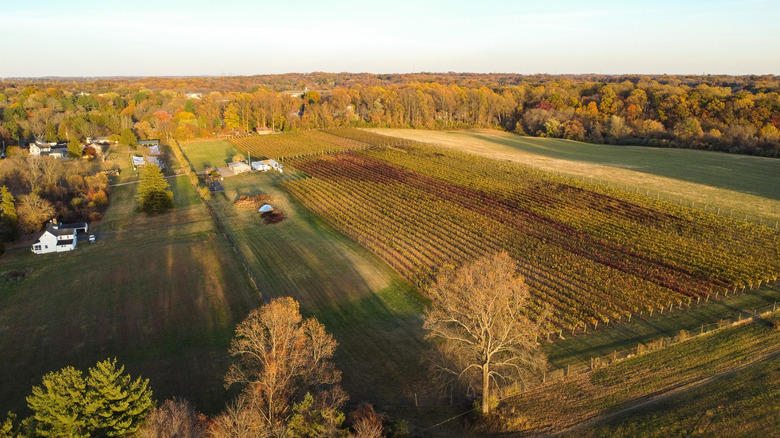 Brandywine Valley in first state national park