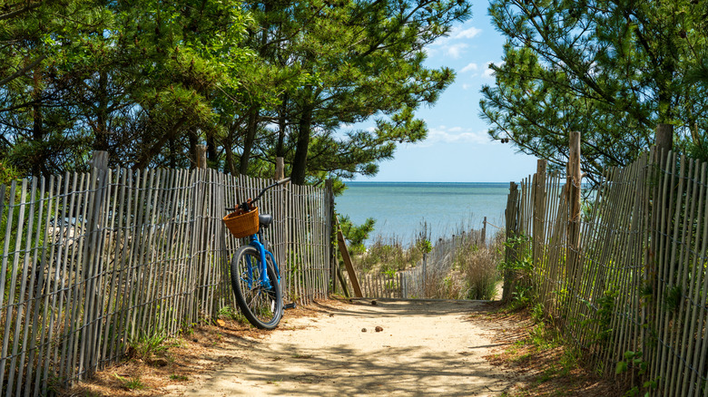 A serene sandy path leading to the beach with a bike propped up on the fence