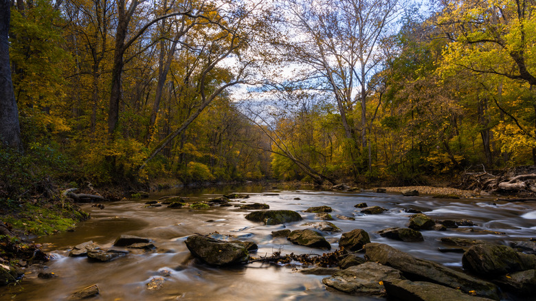 A scenic view of a river flowing in the forest in White Clay Creek State Park, Newark, Delaware