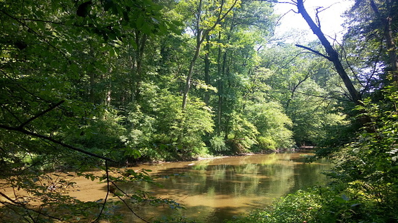 White Clay Creek in Delaware