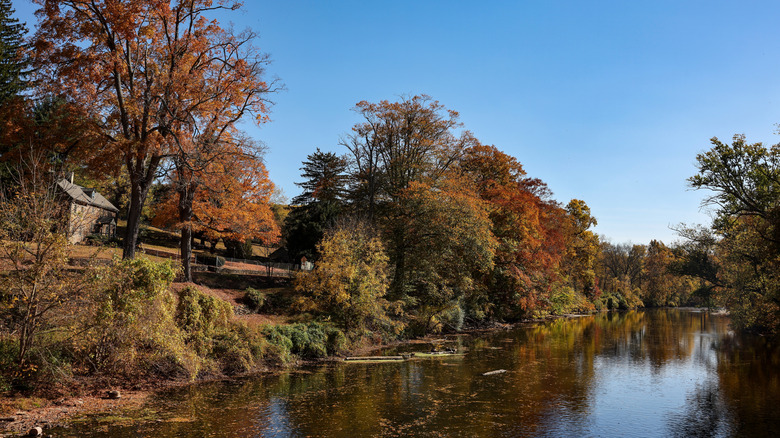 A look at autumn in Brandywine Creek State Park