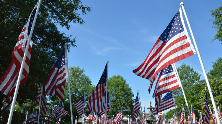 American flags in downtown Georgetown