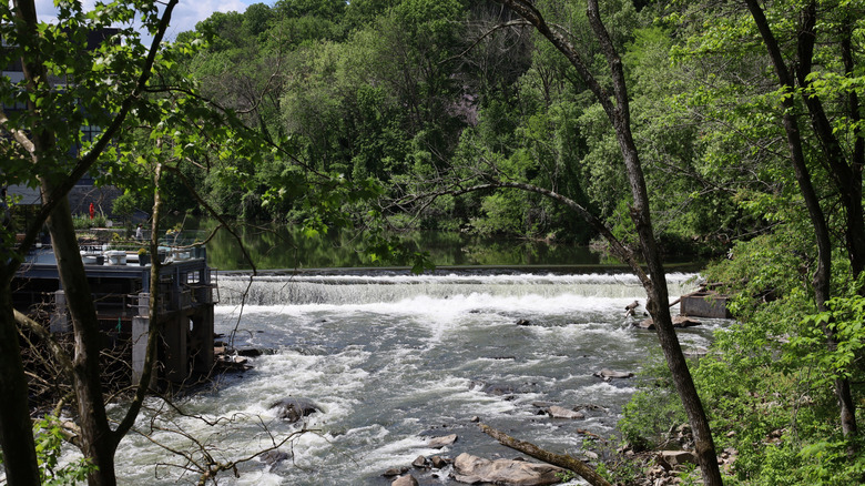 Small waterfall in Alapocas Run State Park in Wilmington Delaware