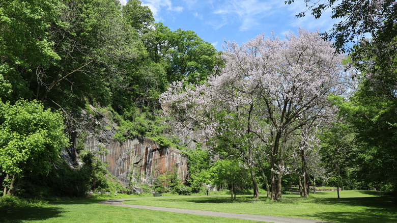 Delaware's Alapocas Run State Park in the spring time