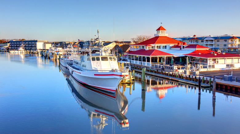 Coastal shot of Lewes Delaware with boats in marina
