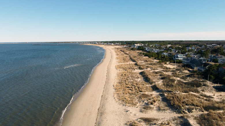 Beach at Lewes shot from air