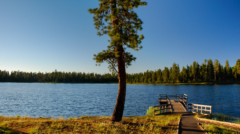 A picture of Delintment Lake in Oregon with dock to reach water