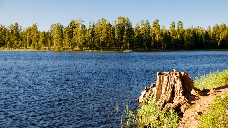 A picture of Delintment Lake in Oregon