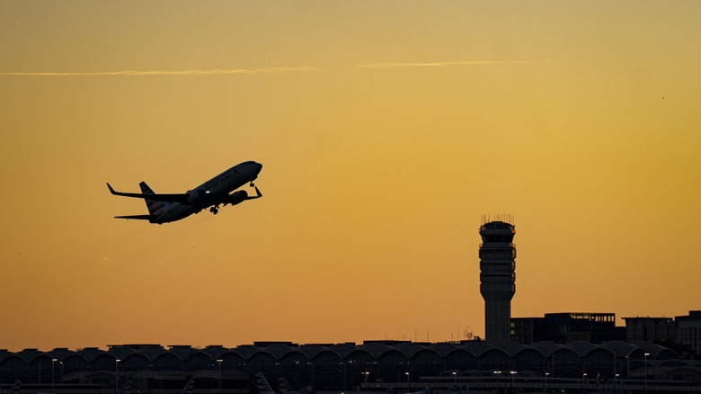 A flight takes off the morning of the cancellations