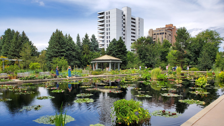 Pond at Denver Botanic Gardens