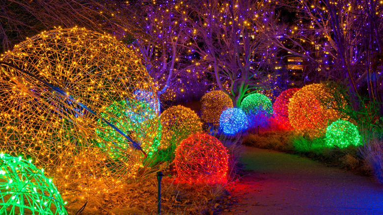 Denver Botanic Gardens light up for Blossoms of Light at the holidays