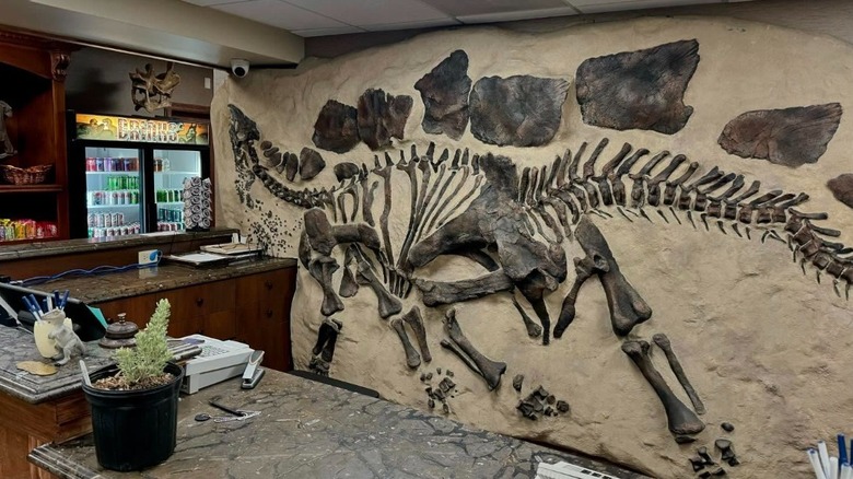 The front desk of the Best Western Southwest in Denver, featuring antique furniture and dinosaur bones