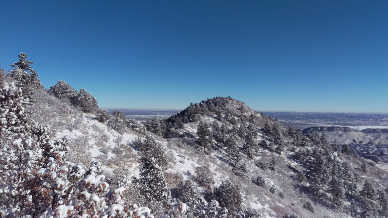 Snow in Deer Creek Canyon Park