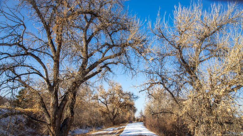 Greenwood Village, Colorado