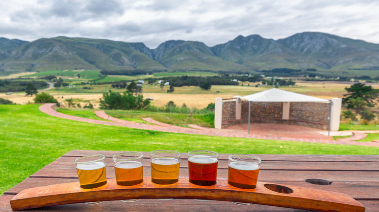 Beer tasting with mountains behind Cape Town