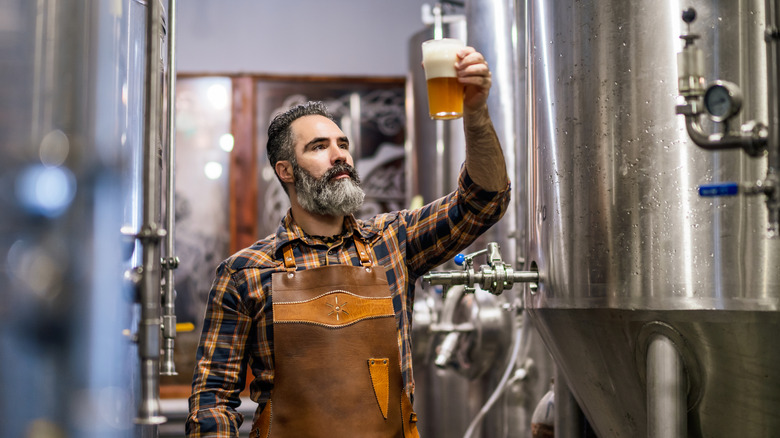 Brewer looking at glass of newly brewed beer