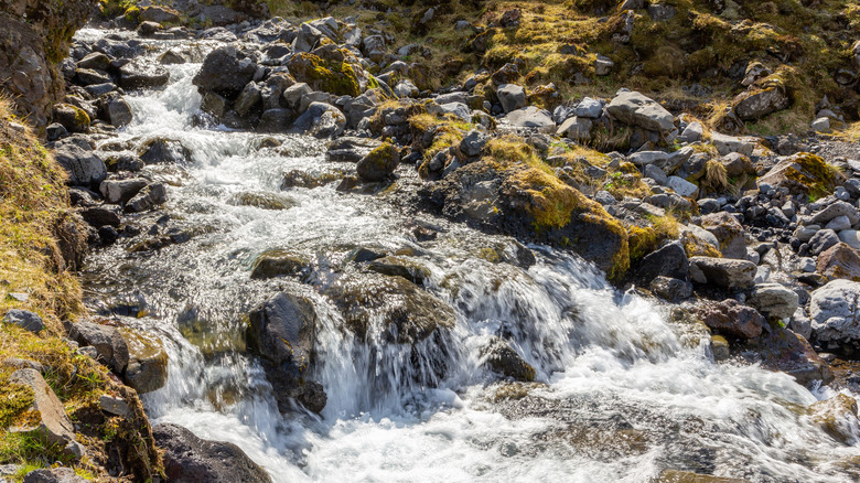 Stream at Thórsmörk Nature Reserve