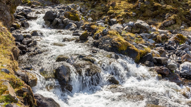 Stream at Thórsmörk Nature Reserve