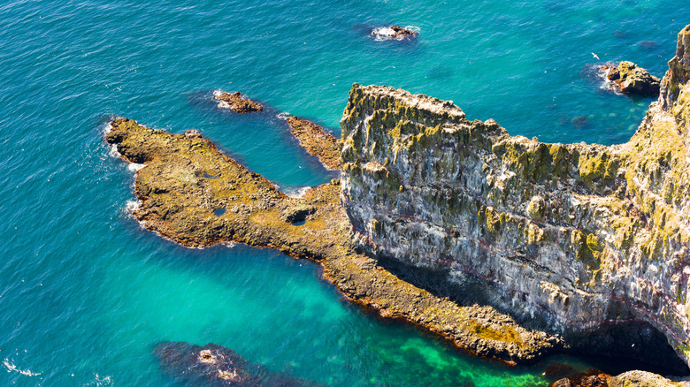 Bird cliffs of Látrabjarg, Iceland