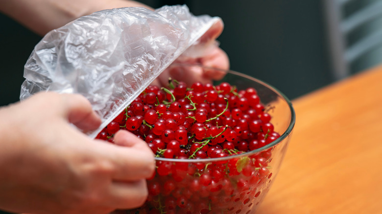 Hands stretching a clear elastic plastic cover over a bowl of berries