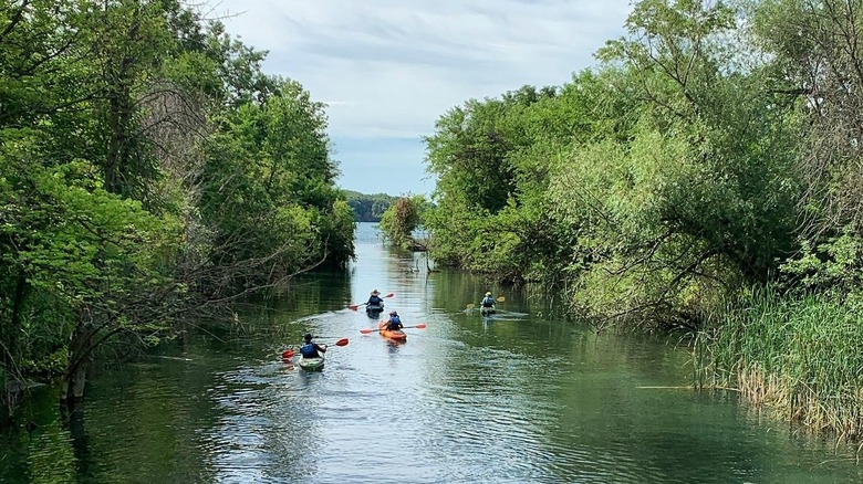 Kayak riders on a 'Little Venice' Detroit canal