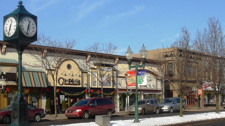 Local businesses in Plymouth Michigan