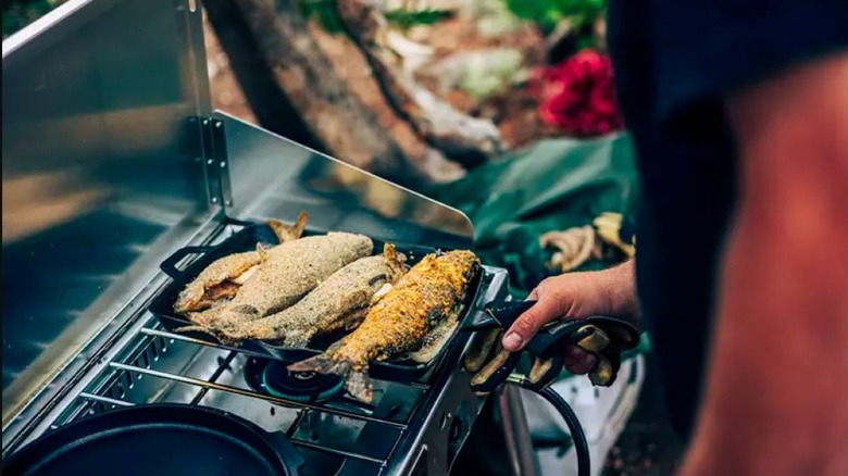 Close-up of a man grilling fish on a pan on his Camp Chef Mountaineer Aluminum Stove, set up outdoors.