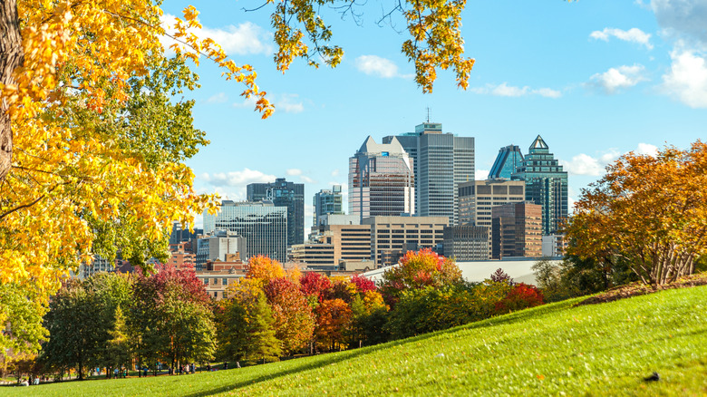 City views of Montreal from a park