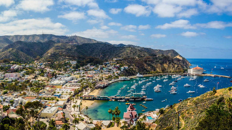 A drone view of the beautiful Catalina Island with clear blue water, colorful buildings, and boats in the harbor